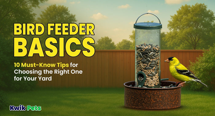Bird Feeder Basics: 10 Must-Know Tips for Choosing the Right One for Your Yard