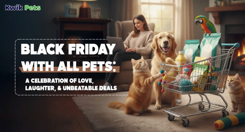 Black Friday with All Pets: A Celebration of Love, Laughter, and Unbeatable Deals