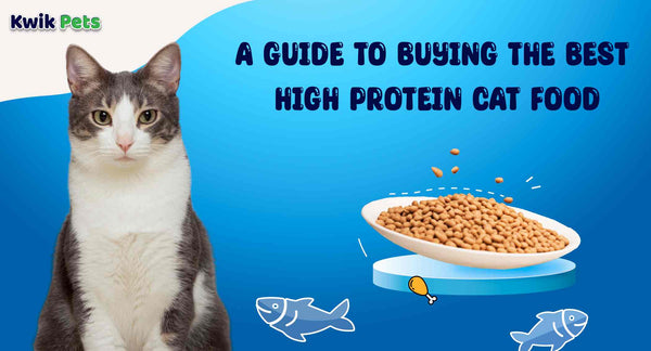 A Guide to Buying the Best High Protein Cat Food
