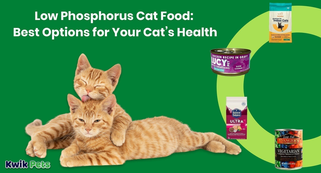 Low Phosphorus Cat Food: Best Options for Your Cat’s Health