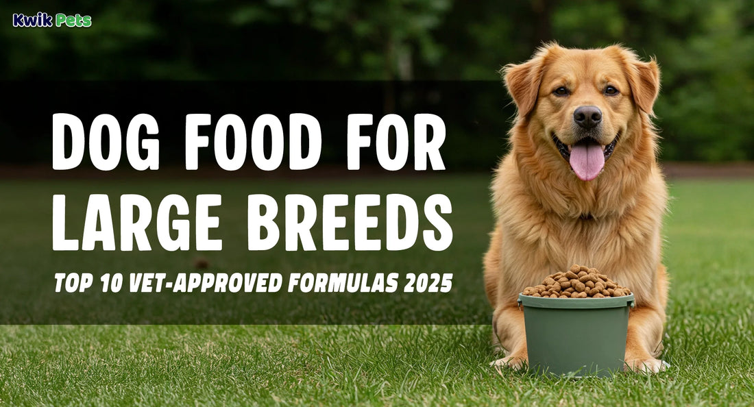Dog Food for Large Breeds – Top 10 Vet-Approved Formulas