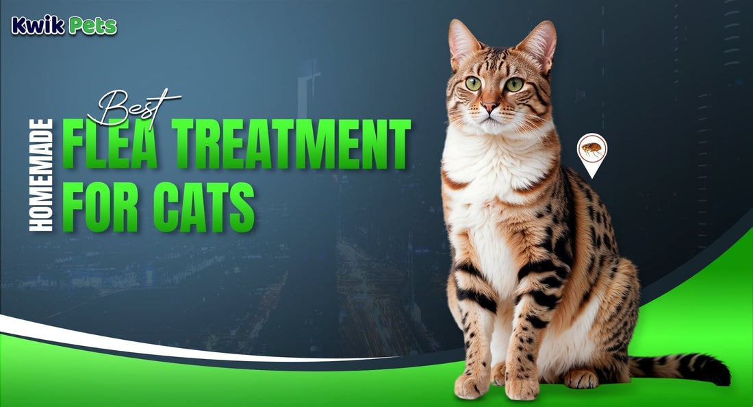 Best Homemade Flea Treatment for Cats (Works in 24 Hours!)