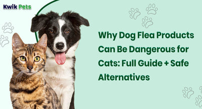 Why Dog Flea Products Can Be Dangerous for Cats: Full Guide + Safe Alternatives