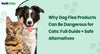 Why Dog Flea Products Can Be Dangerous for Cats: Full Guide + Safe Alternatives