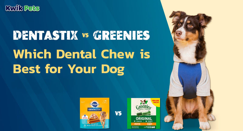 Dentastix vs Greenies: Which Dental Chew is Best for Your Dog