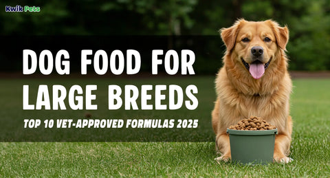 Dog Food for Large Breeds – Top 10 Vet-Approved Formulas