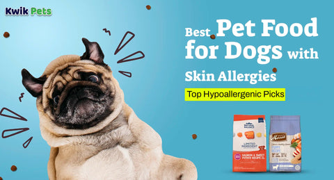 Best Pet Food for Dogs with Skin Allergies: Top Hypoallergenic Picks