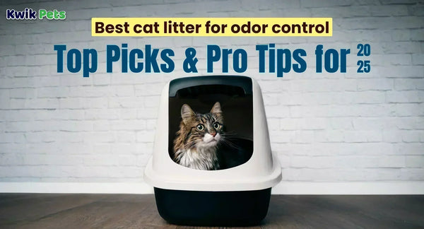 Best cat litter for odor control​: Top Picks & Pro Tips for 2025