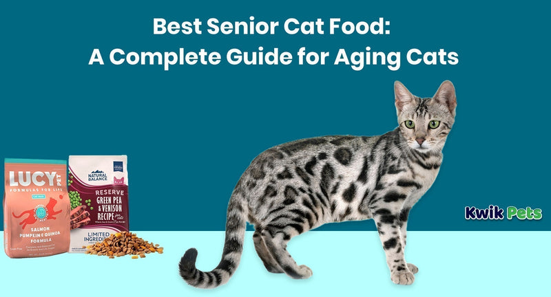 Best Senior Cat Food: A Complete Guide for Aging Cats