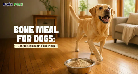 Bone Meal for Dogs: Benefits, Risks, and Top Picks