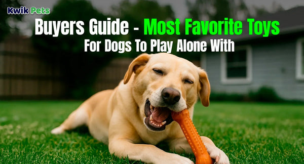 Buyers Guide – Most Favorite Toys For Dogs To Play Alone With