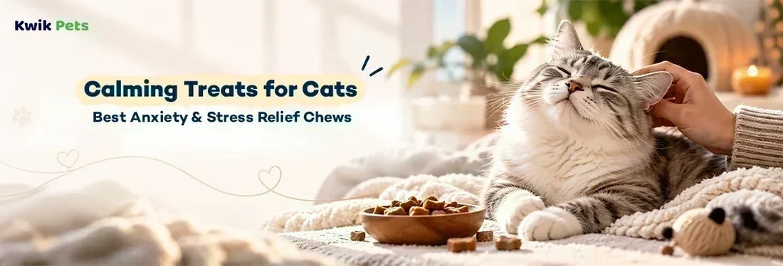 calming treats for cats