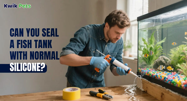 Can You Seal A Fish Tank With Normal Silicone?