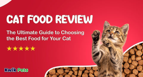 Cat Food Review 2026: Best Brands, Comparisons & Buyer’s Guide