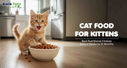 Cat Food for Kittens: Best Nutrition Choices from 4 Weeks to 12 Months in 2026