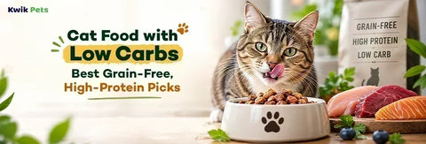 Cat Food with Low Carbs: Best Grain-Free, High-Protein Picks