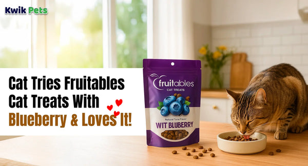 Cat Tries Fruitables Cat Treats With Blueberry And Loves It!