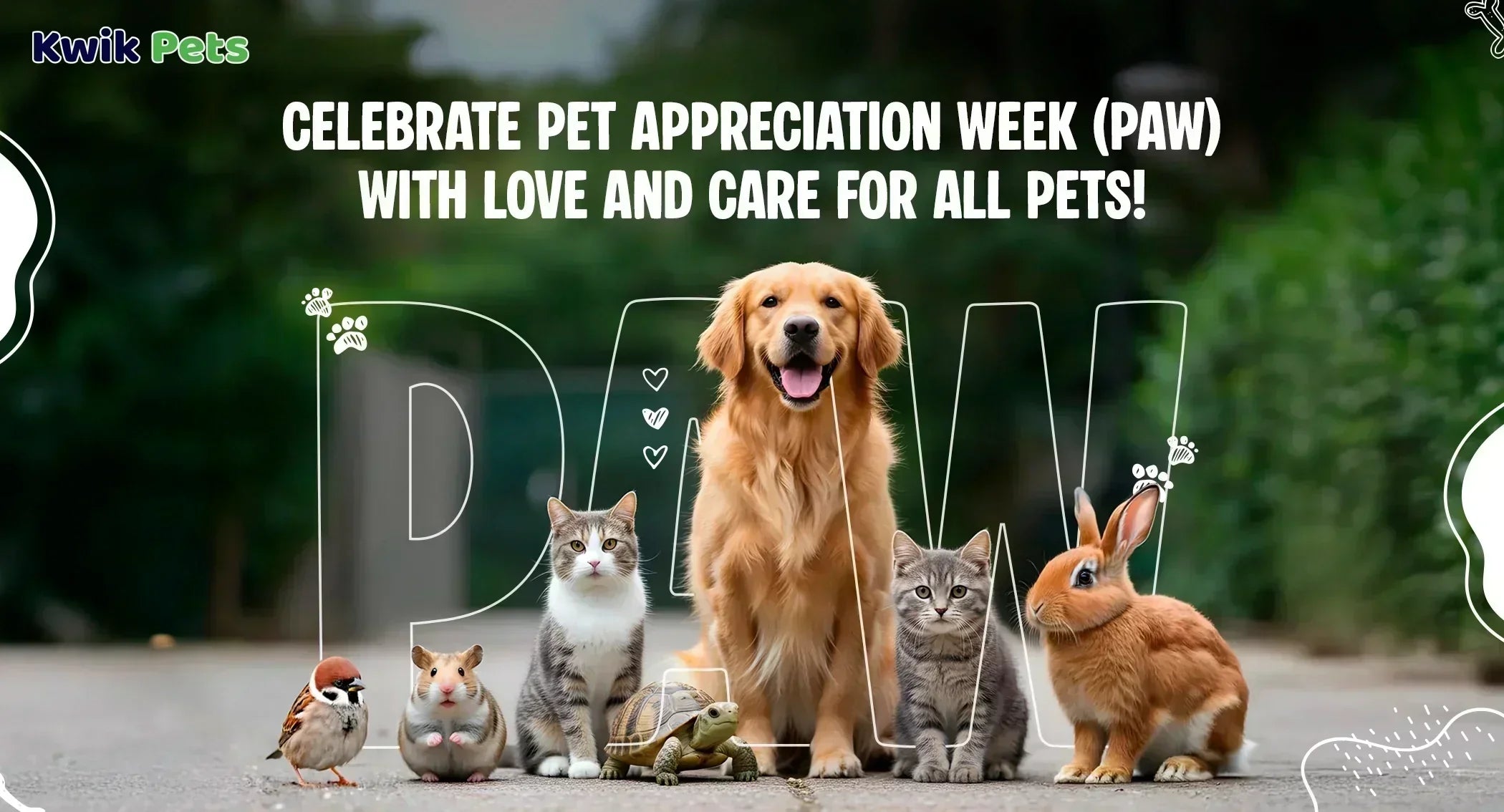 Celebrate Pet Appreciation Week (PAW) with Love and Care for All Pets!