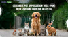 Celebrate Pet Appreciation Week (PAW) with Love and Care for All Pets!