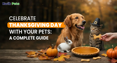 Celebrate Thanksgiving Day with Your Pets: A Complete Guide