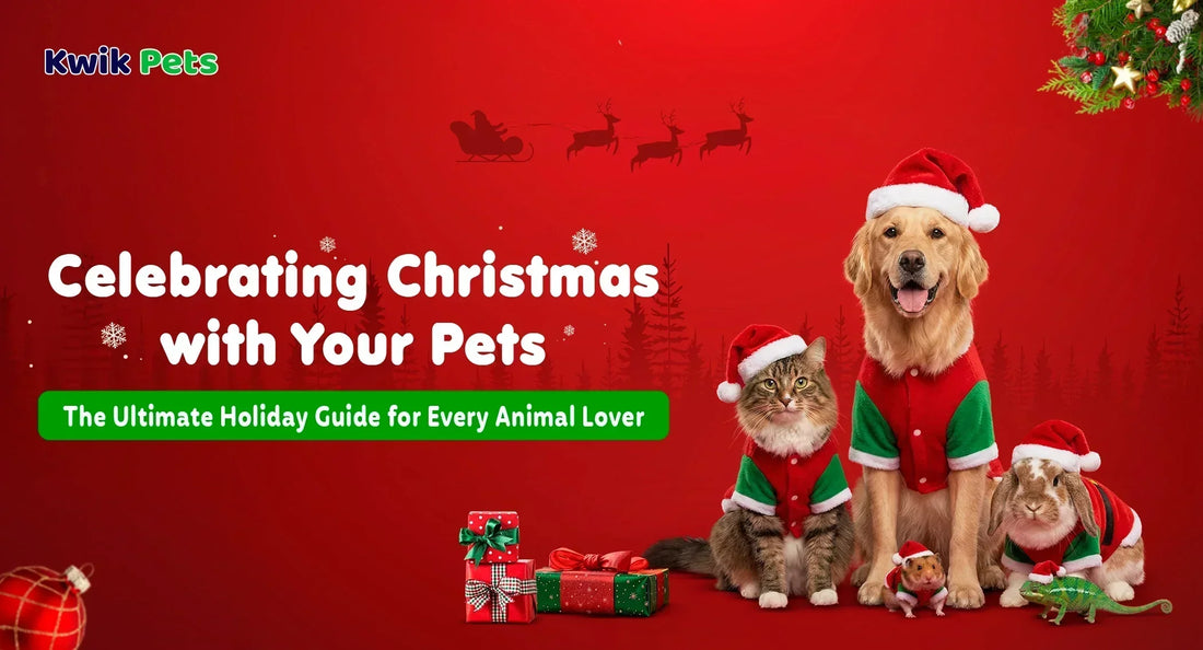 Celebrating Christmas with Your Pets: The Ultimate Holiday Guide for Every Animal Lover