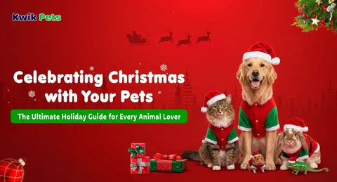 Celebrating Christmas with Your Pets: The Ultimate Holiday Guide for Every Animal Lover