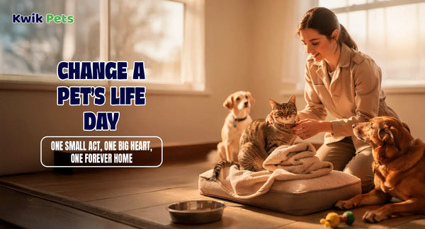 Change A Pet’s Life Day: One Small Act, One Big Heart, One Forever Home
