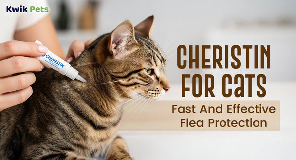 Cheristin For Cats: Fast And Effective Flea Protection