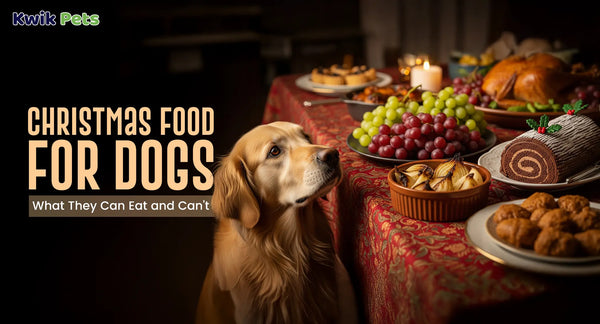 Christmas Food For Dogs
