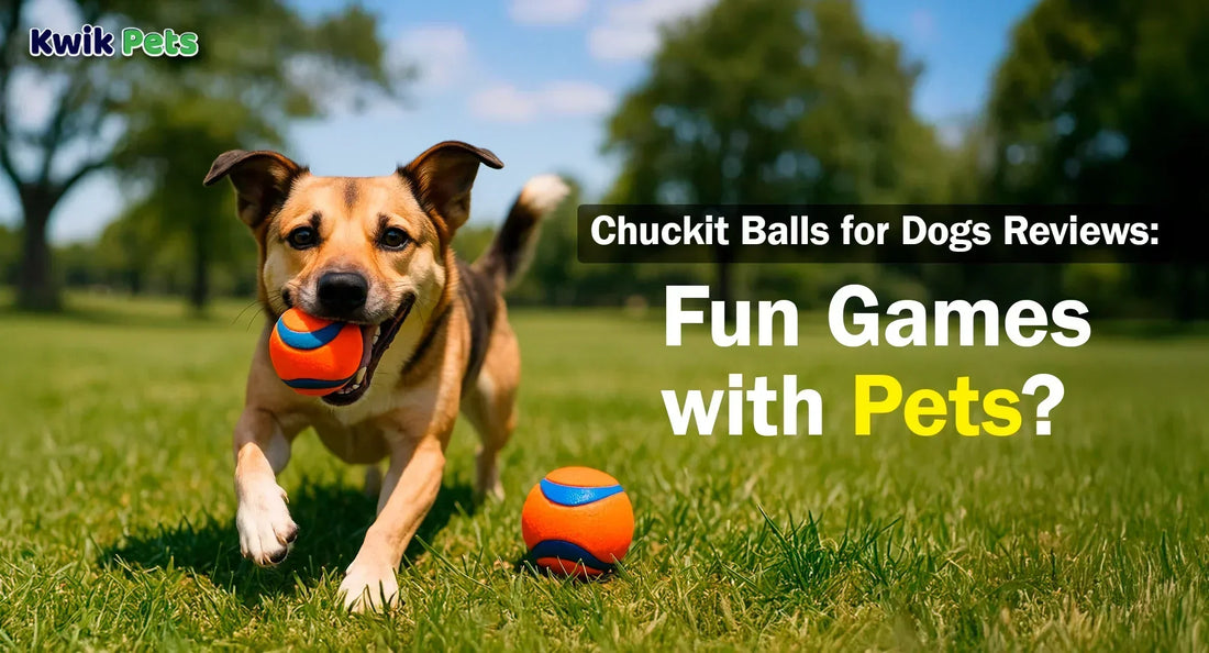 Chuckit Balls for Dogs Reviews: Fun Games with Pets?