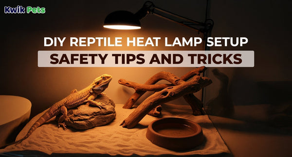 DIY Reptile Heat Lamp Setup Safety Tips and Tricks