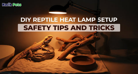 DIY Reptile Heat Lamp Setup: Safety Tips and Tricks