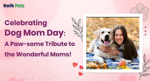 Celebrating Dog Mom Day: A Paw-some Tribute to the Wonderful Moms!