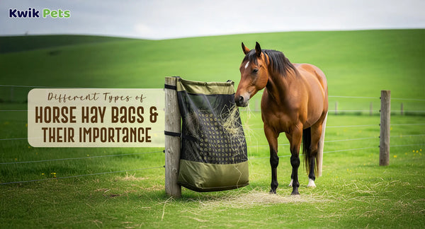 Different Types of Horse Hay Bags and Their Importance