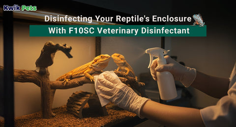 Disinfecting Your Reptile's Enclosure With F10SC Veterinary Disinfectant