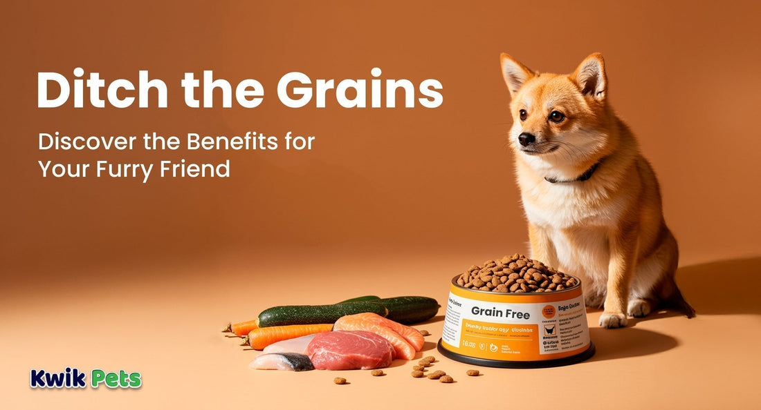 Best Grain-Free Dog Food for Dogs with Allergies and Sensitivities