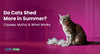 Do Cats Shed More in Summer? Causes, Myths, & What Works