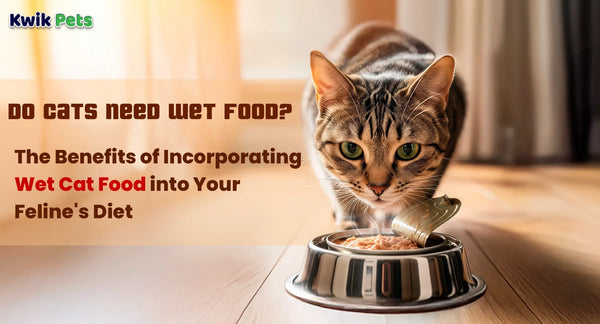 Do Cats Need Wet Food? The Benefits of Incorporating Wet Cat Food into Your Feline's Diet