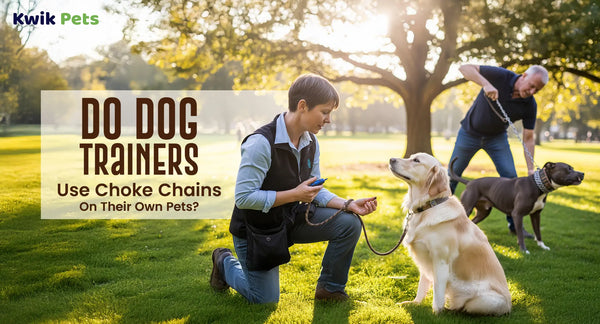 Do Dog Trainers Use Choke Chains On Their Own Pets?