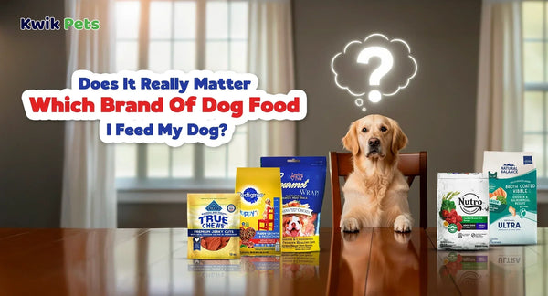Does It Really Matter Which Brand Of Dog Food I Feed My Dog