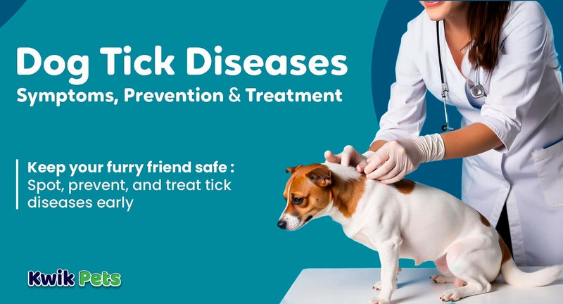 Dog Tick Diseases – Symptoms, Prevention, & Treatment