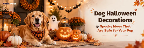Dog Halloween Decorations: Spooky Ideas With Pup Safety in Mind
