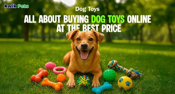 Dog Toys- All About Buying Dog Toys Online At The Best Price