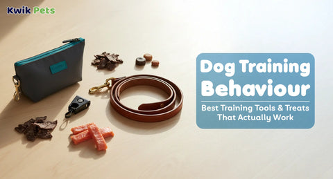 Dog Training Behaviour: Best Training Tools & Treats That Actually Work