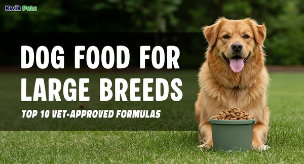 Dog Food for large breeds