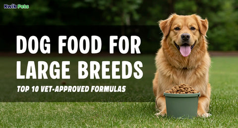 Dog Food for Large Breeds – Top 10 Vet-Approved Formulas