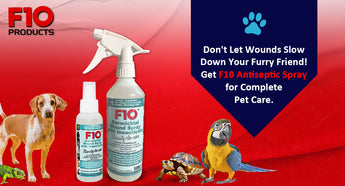 F10 Antiseptic Wound Spray with Insecticide - Your Pet’s Perfect Wound Care Treatment