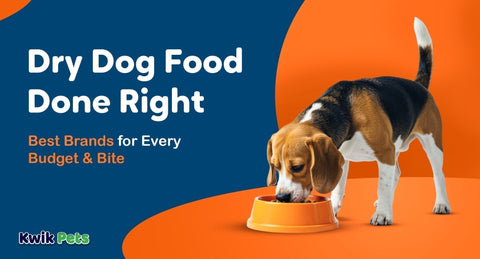 10 Must-Try Dry Dog Food Brands for a Healthy Dog