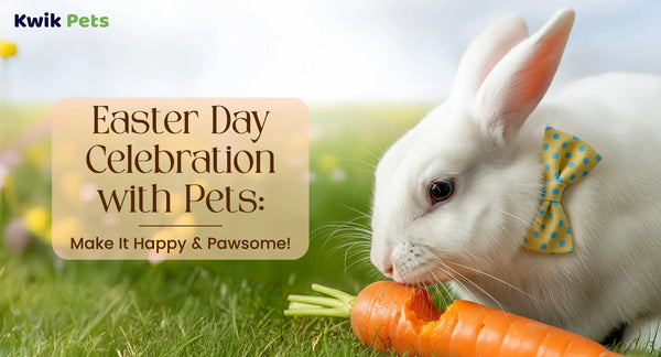 Easter Day Celebration with Pets_ Make It Happy & Pawsome