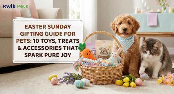 Easter Sunday Gifting Guide For Pets: 10 Toys, Treats & Accessories That Spark Pure Joy